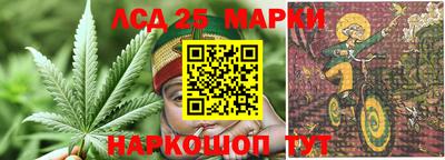 ГАЛЛЮЦИНОГЕННЫЕ ГРИБЫ Балахна