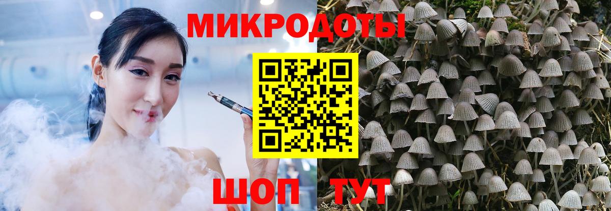 Ефремов  Галлюциногенные грибы ЛСД  Вход с VPN 