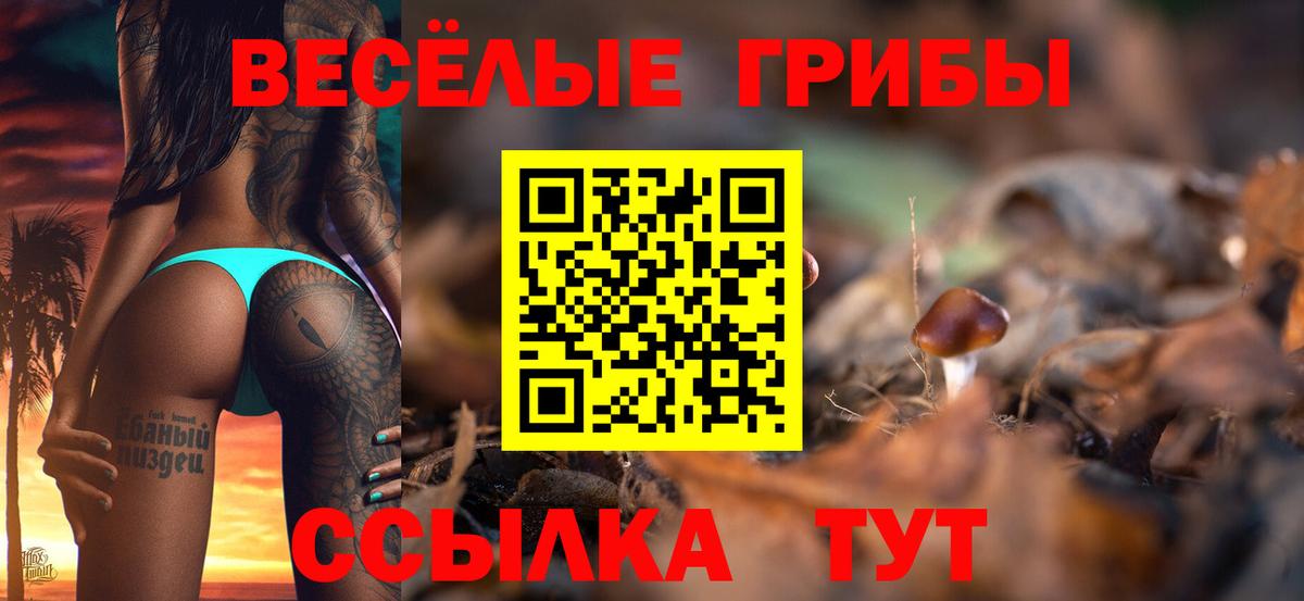 Псилоцибиновые грибы Psilocybine cubensis Ефремов